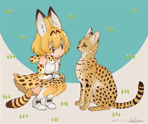 Serval/Anime .